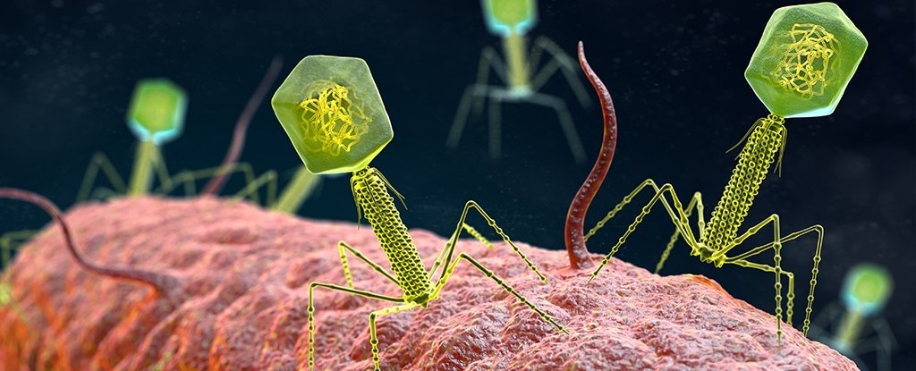 Bacteriophages
